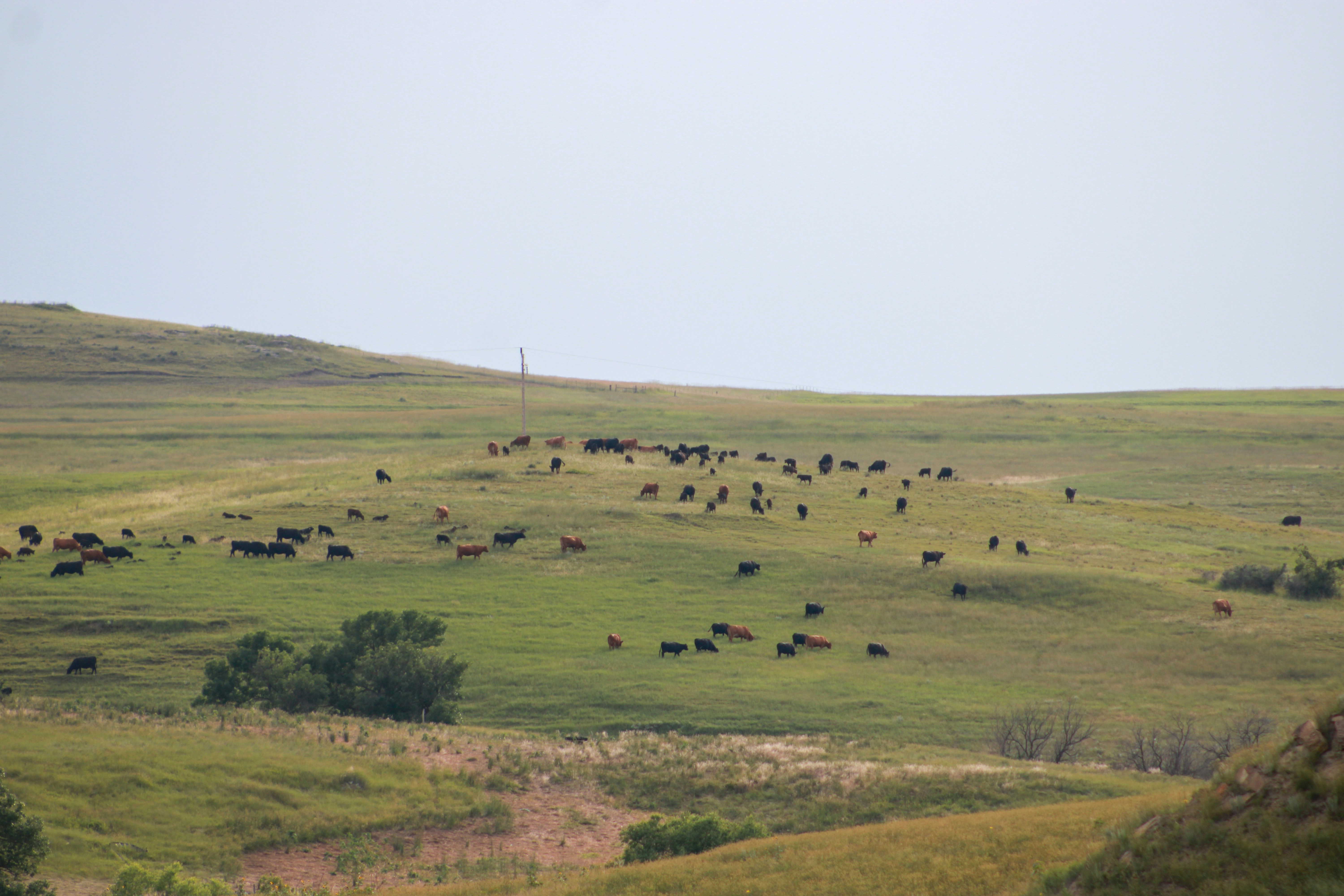 Tejon Ranch