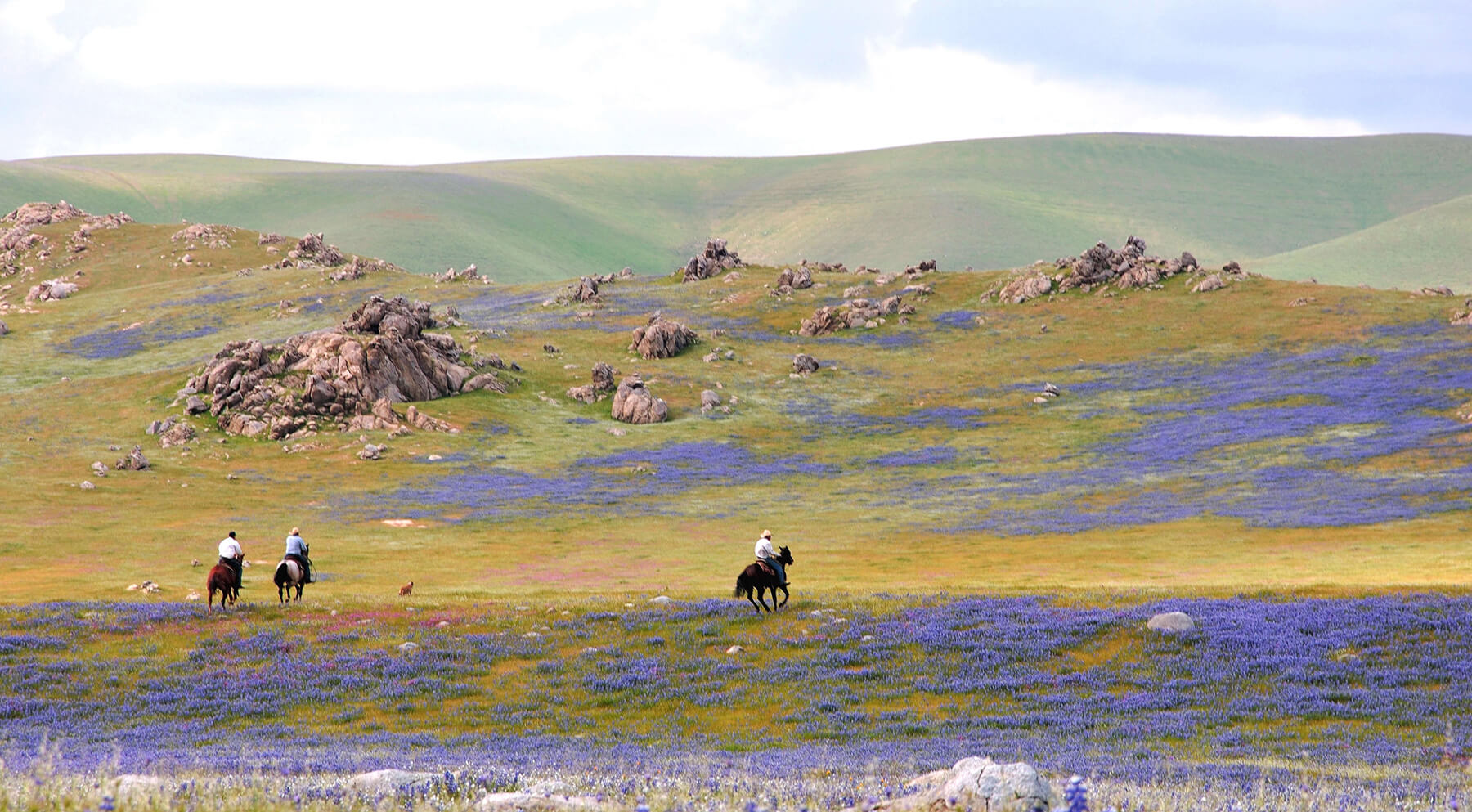 Tejon Ranch